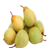 PÊRA ROCHA MEDIA